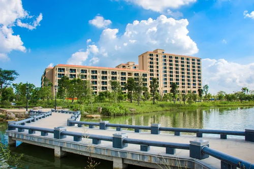 廣東海洋大學(xué)創(chuàng)新創(chuàng)業(yè)分統(tǒng)計(jì),廣東海洋大學(xué)創(chuàng)新創(chuàng)業(yè)實(shí)踐學(xué)分,廣東海洋大學(xué)創(chuàng)新創(chuàng)業(yè)學(xué)分