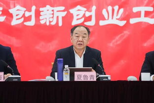 大會上,創(chuàng)新,講話稿,創(chuàng)業(yè)