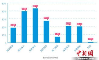 創(chuàng)業(yè)者,動機,因素,驅(qū)動