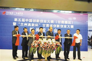 甘肅省創(chuàng)新創(chuàng)業(yè)王斌國評委