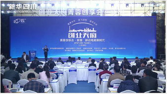 成都天府創(chuàng)新創(chuàng)業(yè)服務(wù)平臺(tái)