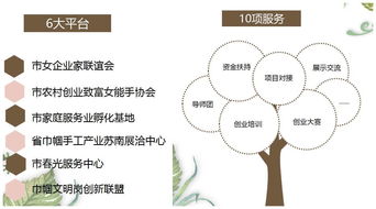 項目實(shí)施,階段,創(chuàng)新,創(chuàng)業(yè)