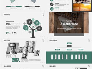 創(chuàng)新創(chuàng)業(yè)項(xiàng)目宣講PPT