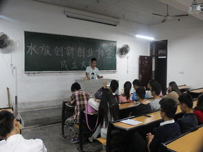 競(jìng)選,部長(zhǎng),發(fā)言,創(chuàng)新