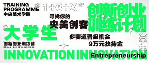 校級大學(xué)生創(chuàng)新創(chuàng)業(yè)訓(xùn)練計劃英語