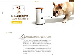 創(chuàng)新創(chuàng)業(yè)智能喂狗