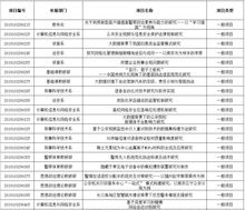 創(chuàng)業(yè)計(jì)劃,創(chuàng)新,項(xiàng)目立項(xiàng)