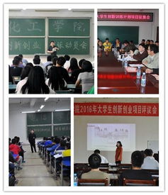 大學(xué)生創(chuàng)新創(chuàng)業(yè)訓(xùn)練計(jì)劃項(xiàng)目申報(bào)書范文