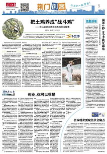 社會痛點創(chuàng)業(yè)創(chuàng)新