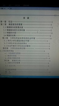 大學(xué)生創(chuàng)業(yè)與創(chuàng)新論文,大學(xué)生創(chuàng)業(yè)創(chuàng)新論文1000字,大學(xué)生創(chuàng)業(yè)創(chuàng)新論文3000字