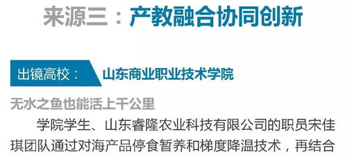 大學(xué)生計算機創(chuàng)新創(chuàng)業(yè)點子300