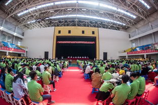 山東省大學生創(chuàng)新創(chuàng)業(yè)訓練計劃平臺,山東省大學生創(chuàng)新創(chuàng)業(yè)官網(wǎng),山東省大學生創(chuàng)新創(chuàng)業(yè)賽事服務平臺