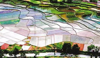 關(guān)于激發(fā)農(nóng)村創(chuàng)新創(chuàng)業(yè)活力堅持什么方向