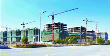 輕鋼,創(chuàng)新,創(chuàng)業(yè),平臺