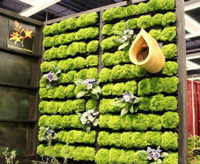 植物創(chuàng)新創(chuàng)業(yè)項目