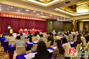 大學(xué)生創(chuàng)新創(chuàng)業(yè)的背景和現(xiàn)狀,大學(xué)生創(chuàng)新創(chuàng)業(yè)的現(xiàn)狀與發(fā)展,大學(xué)生創(chuàng)新創(chuàng)業(yè)現(xiàn)狀及需求