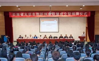 云南創(chuàng)新創(chuàng)業(yè)大賽決賽,云南創(chuàng)新創(chuàng)業(yè)大賽決賽名單,云南經(jīng)濟管理學院創(chuàng)新創(chuàng)業(yè)學院