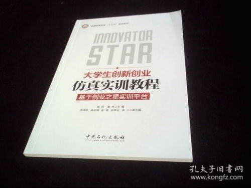 實(shí)訓(xùn),大學(xué)生創(chuàng)業(yè),總結(jié)報(bào)告,模擬