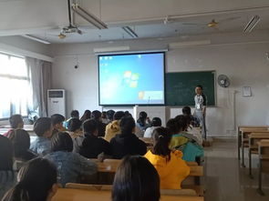 小結(jié),創(chuàng)新,創(chuàng)業(yè),培訓(xùn)