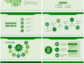 保護(hù)環(huán)境創(chuàng)新創(chuàng)業(yè)計(jì)劃書