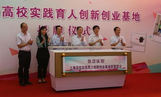 高校實(shí)踐育人創(chuàng)新創(chuàng)業(yè)基地