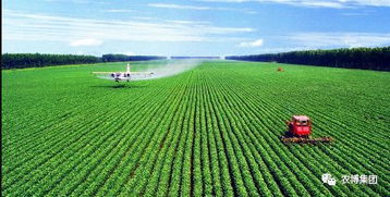 柞樹創(chuàng)新創(chuàng)業(yè)案例