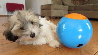 創(chuàng)新創(chuàng)業(yè)智能垃圾箱,創(chuàng)新創(chuàng)業(yè)智能手環(huán),創(chuàng)新創(chuàng)業(yè)智能盲杖設(shè)計(jì)書