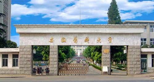 創(chuàng)新創(chuàng)業(yè)學(xué)院安徽醫(yī)科大學(xué)