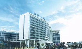 街道,創(chuàng)新,創(chuàng)業(yè),國家火炬