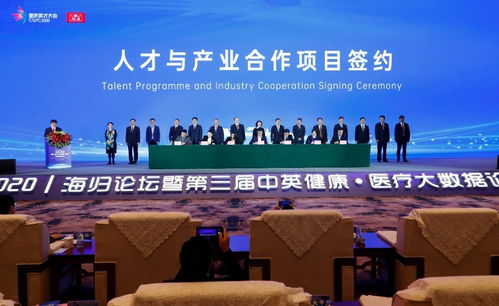 重慶市,團隊,英才,創(chuàng)新