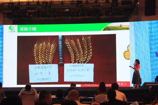 院長(zhǎng),湘南,創(chuàng)新,創(chuàng)業(yè)