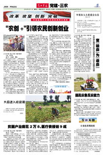 農(nóng)民創(chuàng)新創(chuàng)業(yè)意見