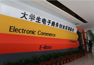 電氣專業(yè)創(chuàng)新創(chuàng)業(yè)實(shí)訓(xùn)總結(jié)