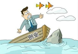 成功人士,經(jīng)歷,創(chuàng)新,創(chuàng)業(yè)