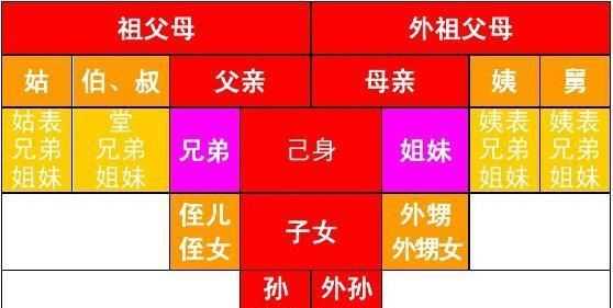 直系親屬包括哪些兄弟姐妹是不是直系親屬