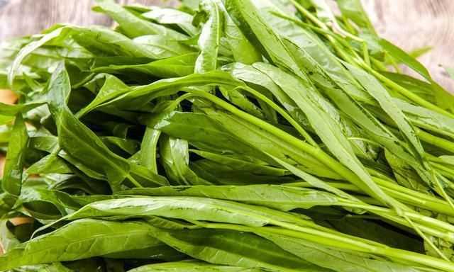 空心菜的功效作用與禁忌