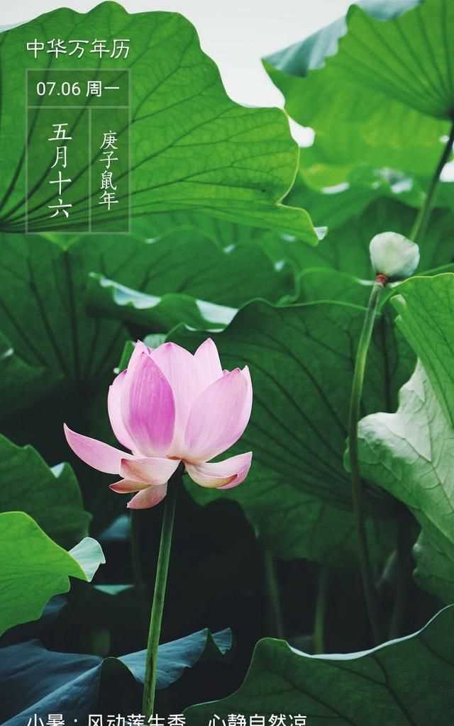 隋朝多少年，三國兩晉南北朝持續(xù)了多少年？圖3