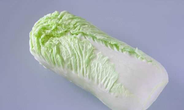 白菜每層都有黑點點是什么,白菜上的小黑點到底是什么東西圖2