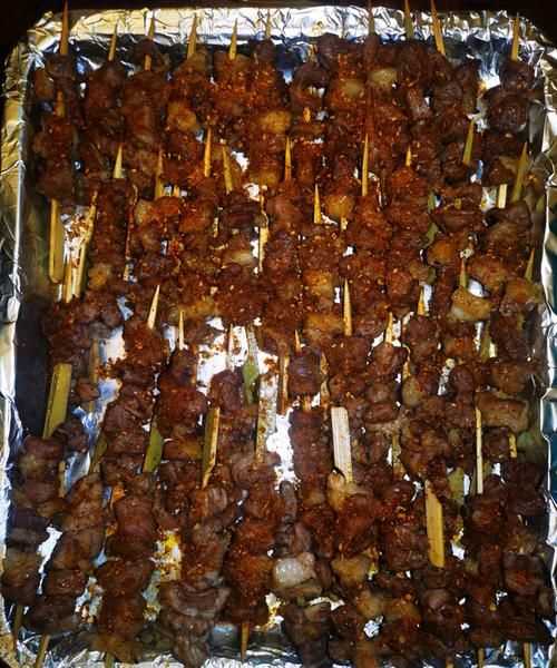 家用電烤箱可以烤羊肉串嗎
