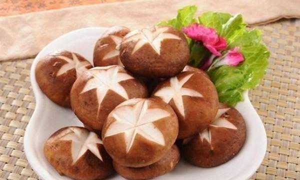 市場上常吃的蘑菇種類,常吃的20種蘑菇的種類圖片圖4