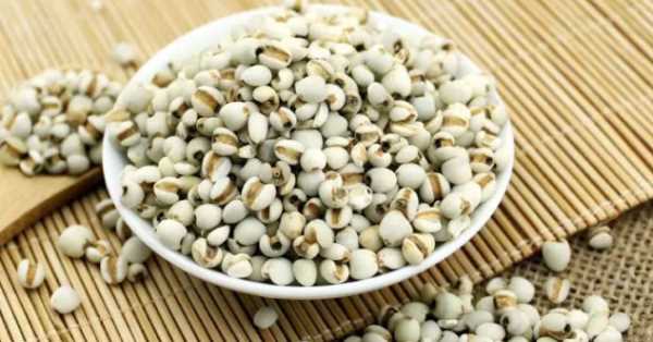 薏米要泡多久才能煮,薏米要泡多久才能煮粥圖1