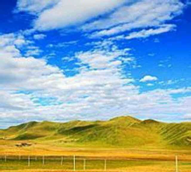 秋天的水果有哪些，秋天成熟的農作物有哪些？圖4