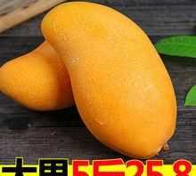 如何判斷芒果熟了沒(méi)有