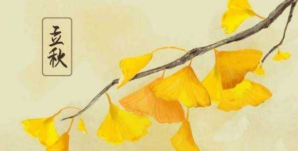 立秋還有公母之分,公秋扇子丟誰說的圖1