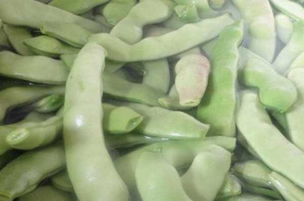 豆角怎樣凍才能保持綠色好吃,油豆角怎么凍速凍才好吃圖10