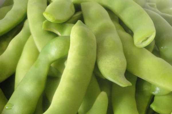 豆角怎樣凍才能保持綠色好吃,油豆角怎么凍速凍才好吃圖13