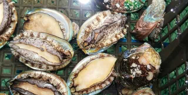 鮑魚要去內(nèi)臟嗎，鮑魚蒸地時(shí)候要去內(nèi)臟嗎？圖3