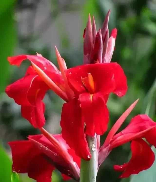 藍色的象征意義和內(nèi)涵，顏色象征意義是什么？所有歷史時期同顏色對所有人有相同意義嗎？圖2