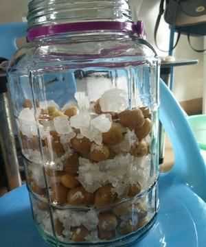 黃皮灑怎樣做,黃皮酒怎樣做圖8