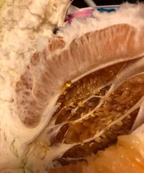 柚子里有膠能吃嗎